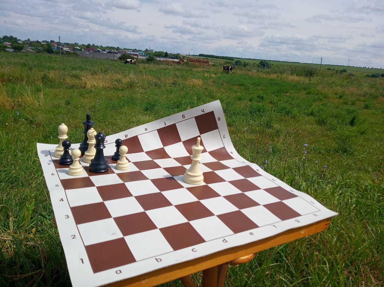 Положительное влияние шахмат