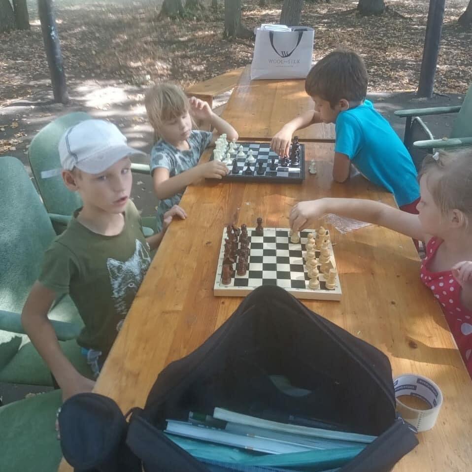 Занятия по шахматам с детьми на свежем воздухе